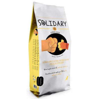Solidary CAT 35