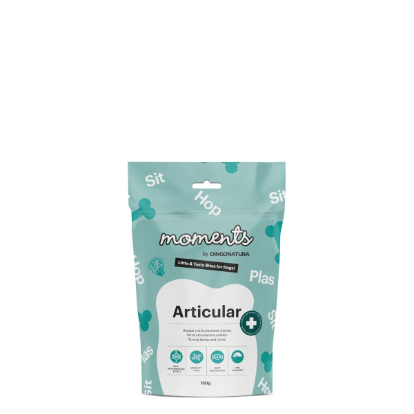 Moments DOG Articular