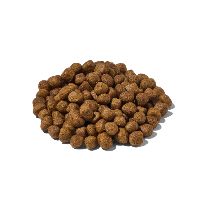 Natura Diet Dog Reduced -20% Mini